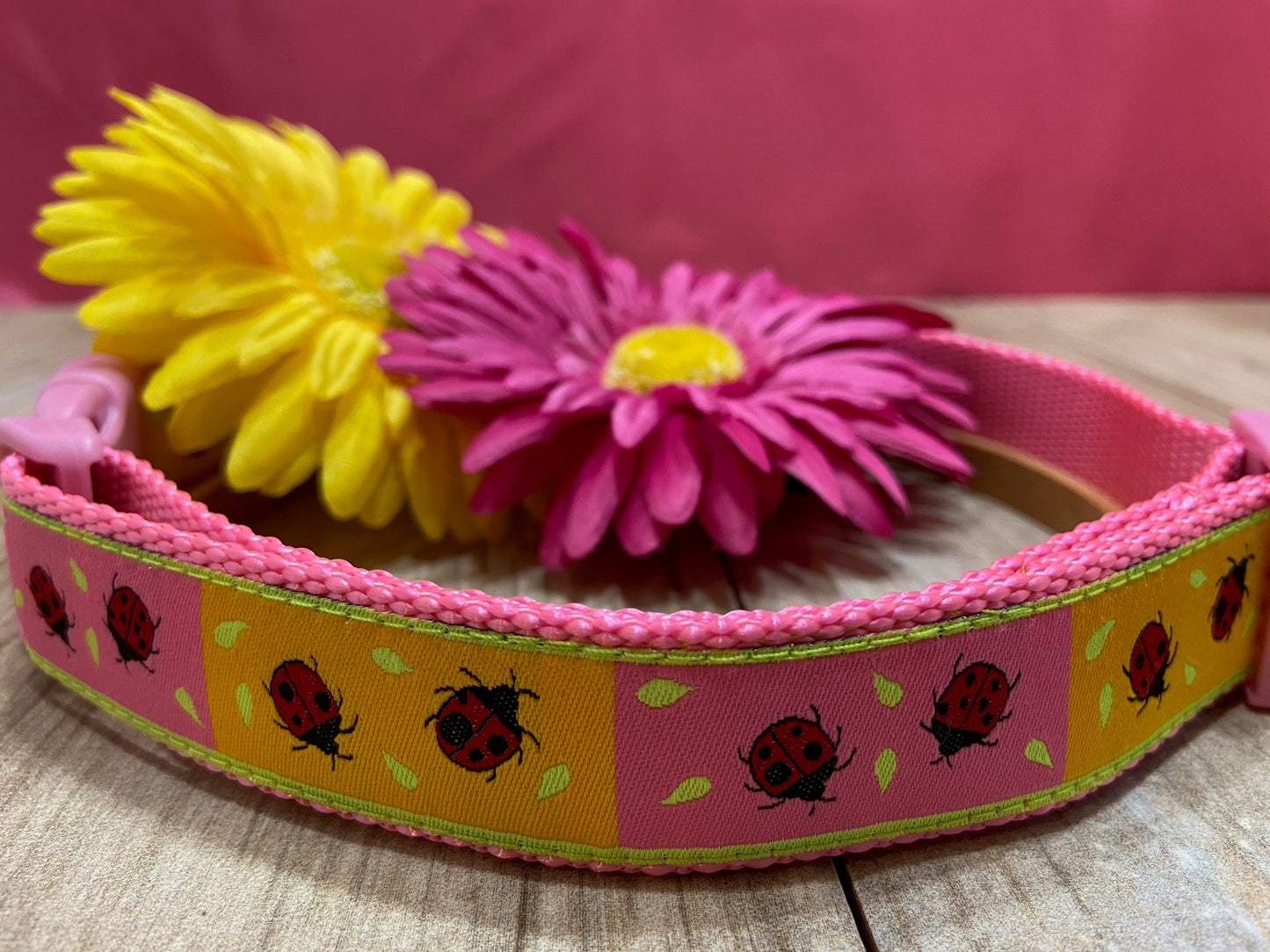 Two Times a Lady Ladybug Adjustable Dog Collar