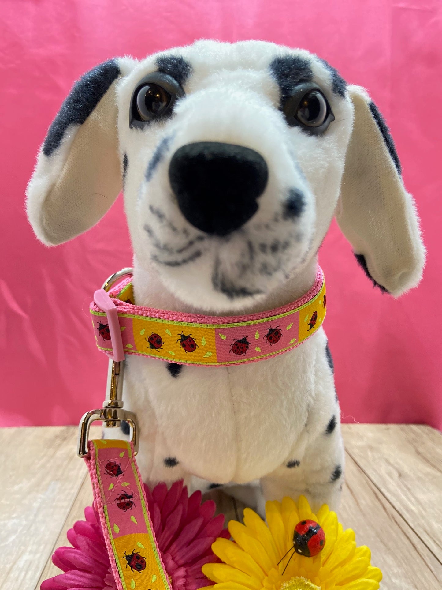 Two Times a Lady Ladybug Adjustable Dog Collar