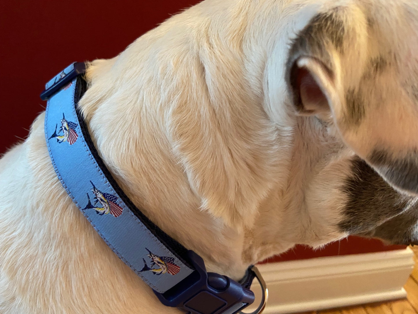 Jumping Sailfish Adjustable Dog Collar