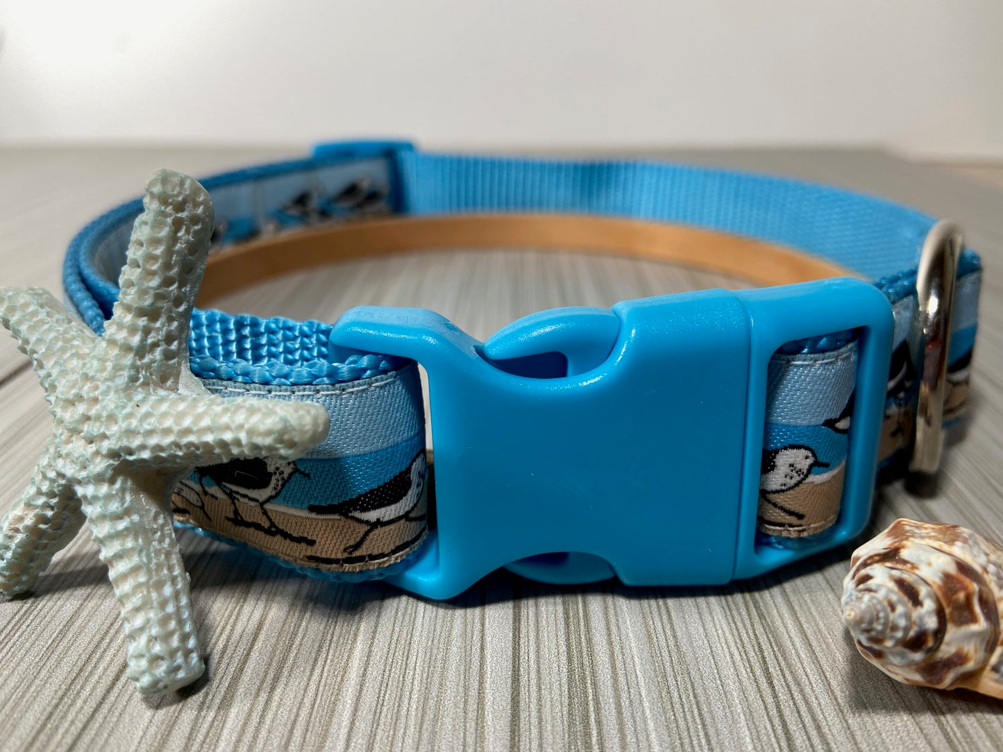 Sandpipers Adjustable Dog Collar