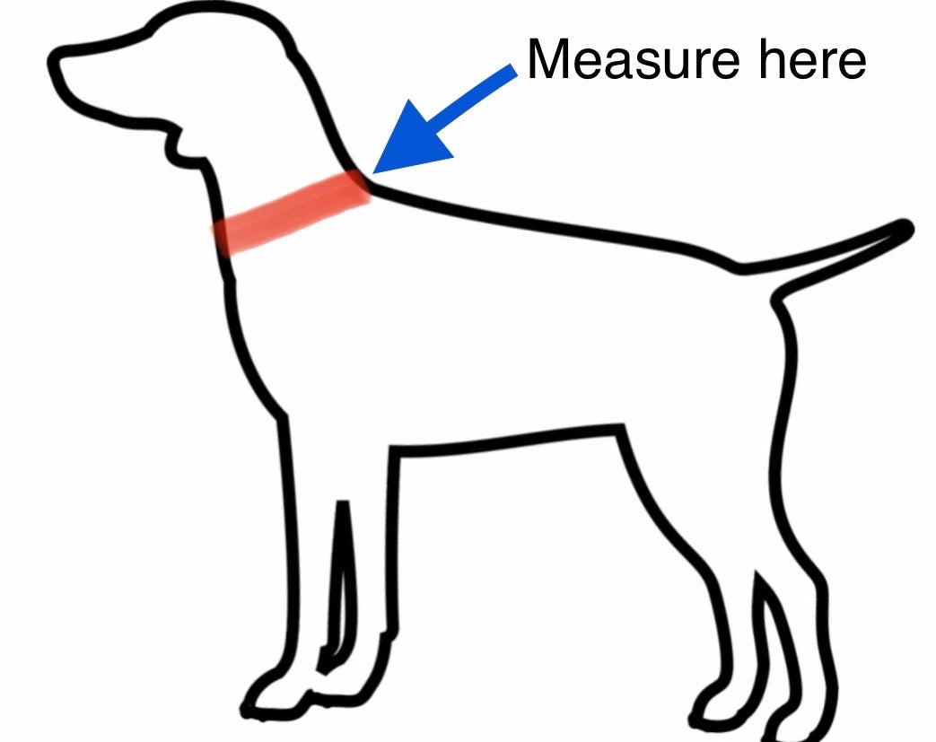 Jumping Sailfish Adjustable Dog Collar