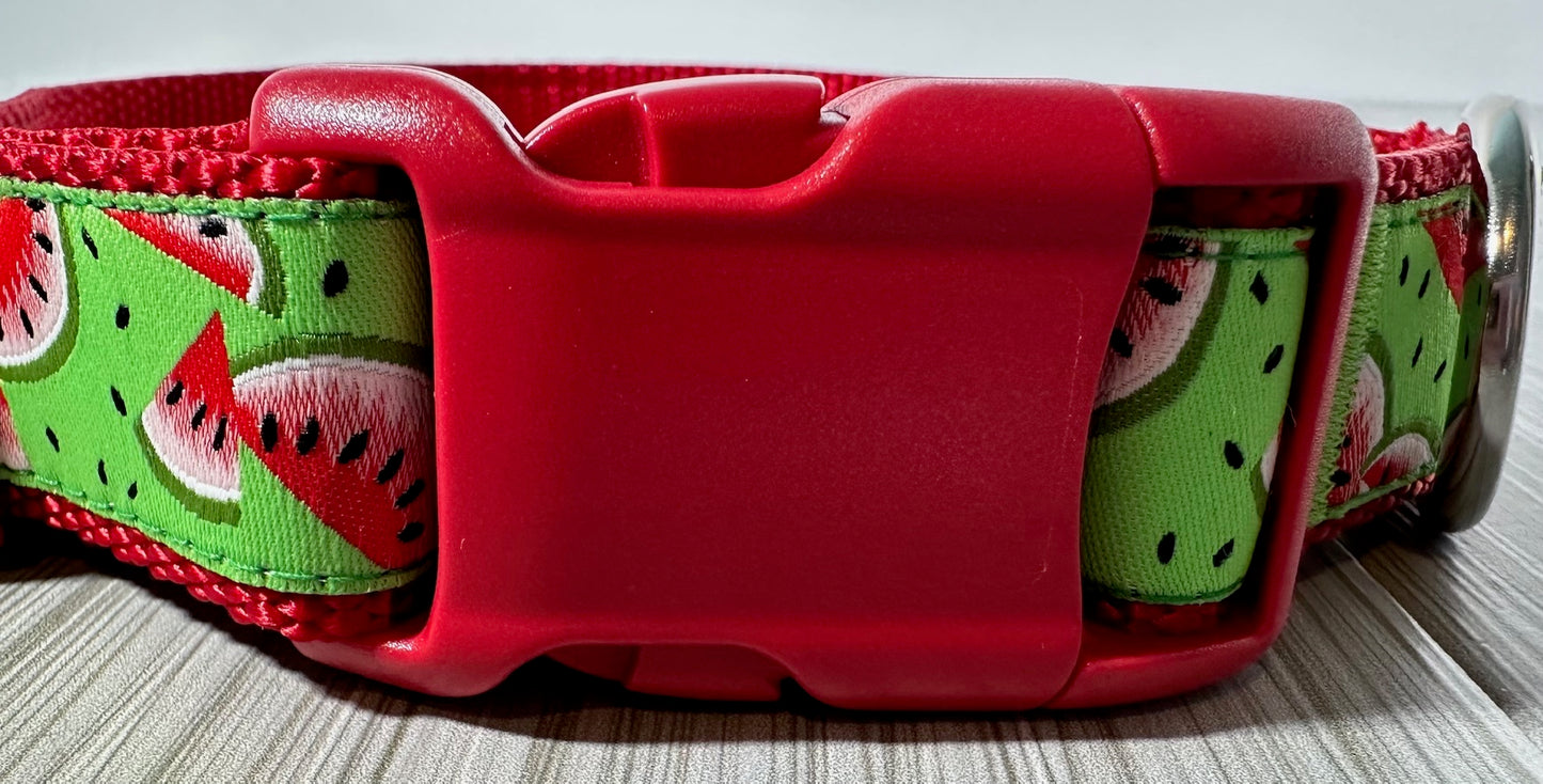 Watermelon Adjustable Dog Collar