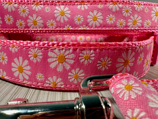 Daisy Pink Adjustable Dog Collar