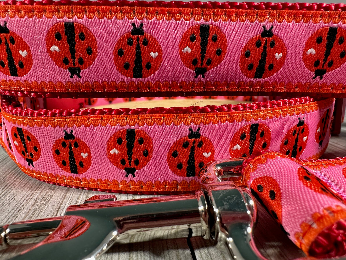 Ladybug Parade Adjustable Dog Collar