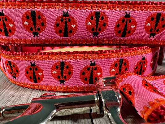 Ladybug Parade Adjustable Dog Collar