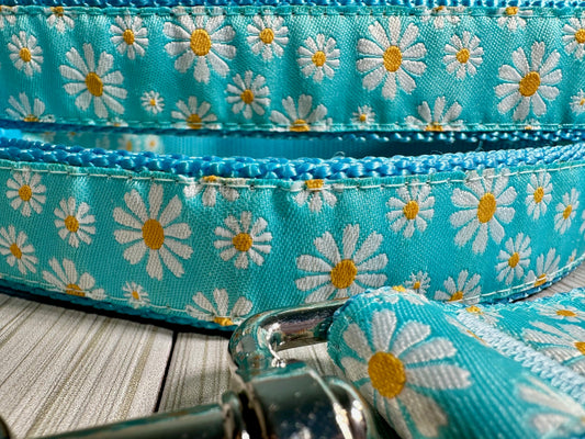 Daisy Blue Adjustable Dog Collar