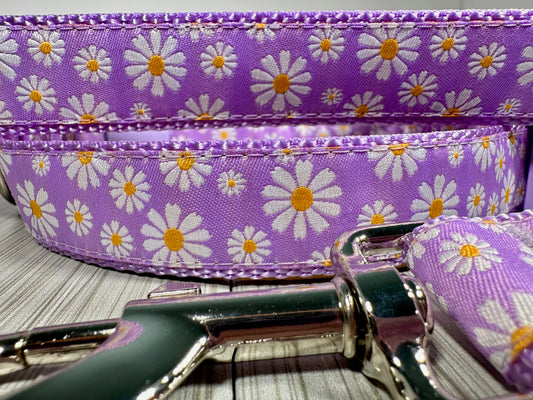 Daisy Orchid Adjustable Dog Collar