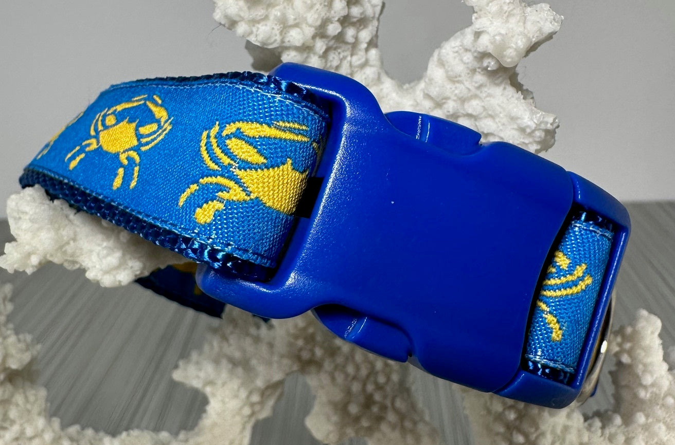 Dewey Beach Adjustable Dog Collar