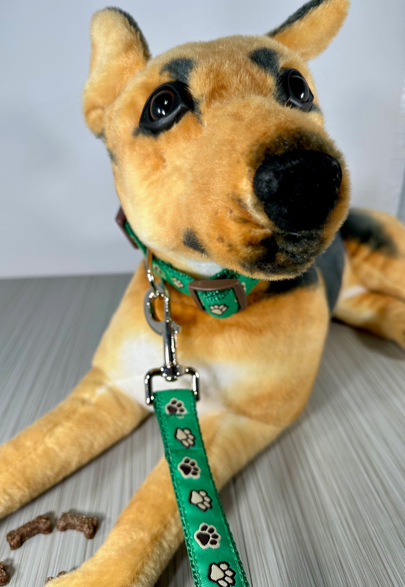 Green Paw Prints Adjustable Dog Collar