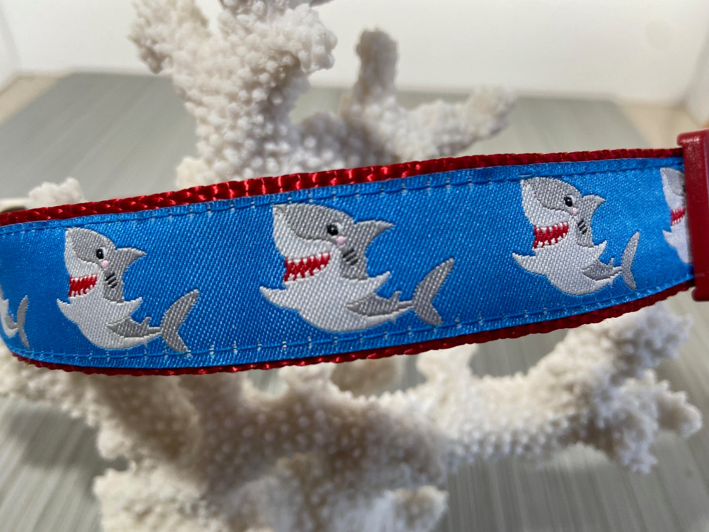 Silly Shark Adjustable Dog Collar